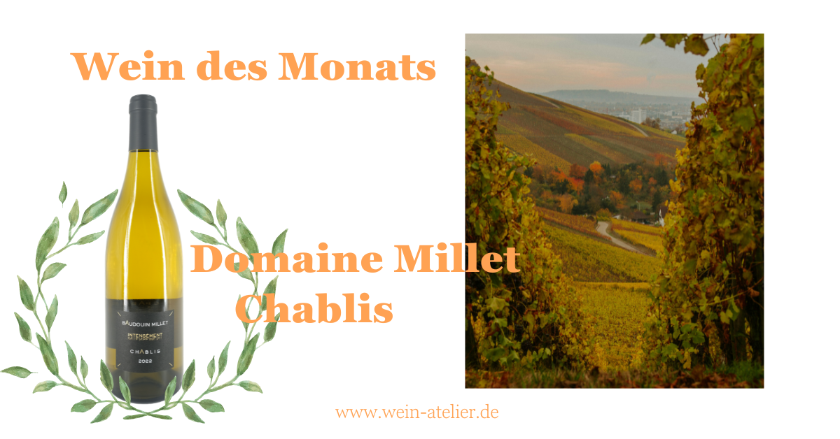 Wein des Monats: Domaine Millet Chablis